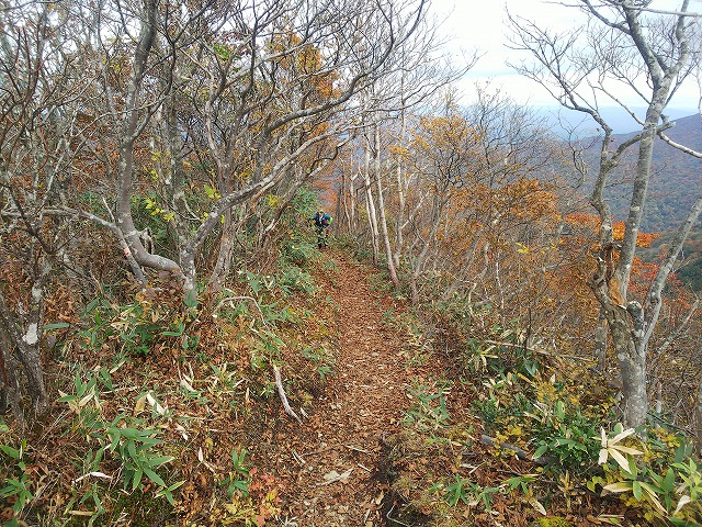 Eさんも登山道にのり、全員クリア